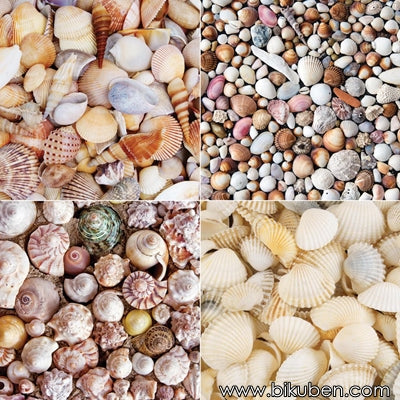 Ella & Viv - Tinker Tray - Seashells Tray 12x12"