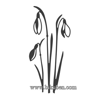 Alexandra Renke - Dies - Snowdrop Flowers