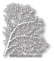 Memory Box - Delicate Sea Fan dies