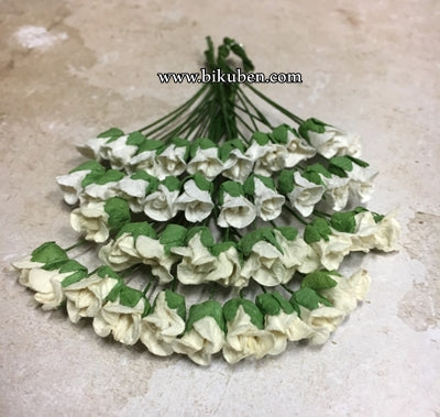 Papirdesign - Lukket Rose - Hvit/Krem