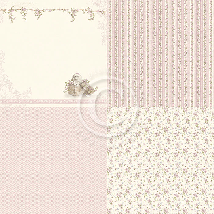 Pion Design - Our Furry Friends - Bundle of joy 6 x 6tum 12 x 12"