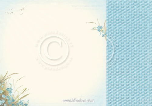 Pion Design - Seaside Stories - Beach blossoms 12 x 12"