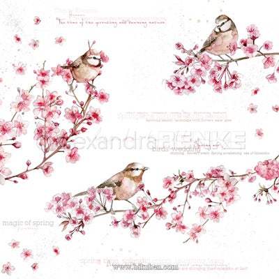 Alexandra Renke - Birds in Cherry Blossoms - 12 x 12"