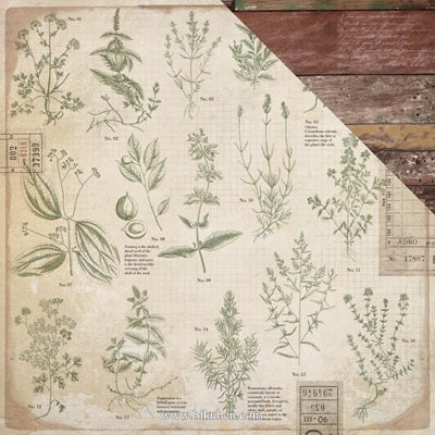 Kaisercraft - Anthology - Herbs    12 x 12"