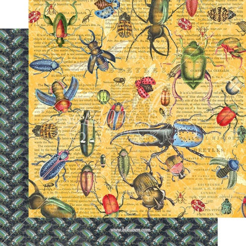 Graphic45 - Flutter - Serendipidious 12 x 12"