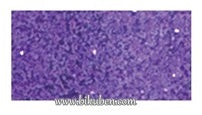 Ranger - Embossing Tinsel - Purple
