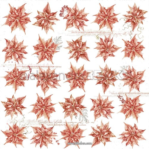 Alexandra Renke - Christmas - Christmas Rose Rapport 12 x 12"