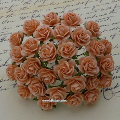 Wild Orchid - Roses  25 mm - Peach