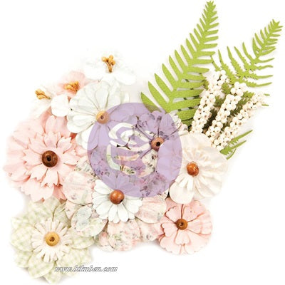Prima - Poetic Rose - Flower - Orchestral Beauty