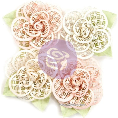 Prima - Poetic Rose - Flower - Beautiful Melody