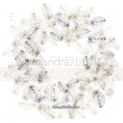 Alexandra Renke - Feather Wreath 12x12"