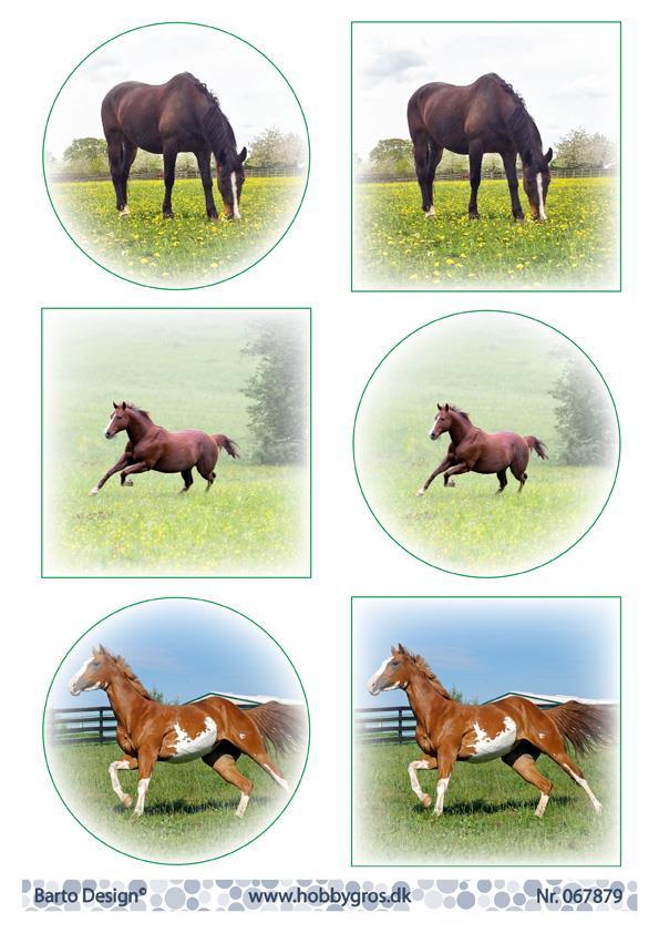Barto Design - Hest - Utklippsark