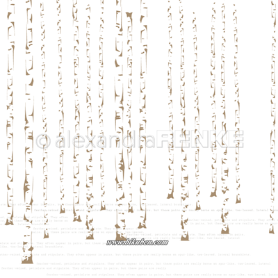 Alexandra Renke - Birch forest gold 12x12"