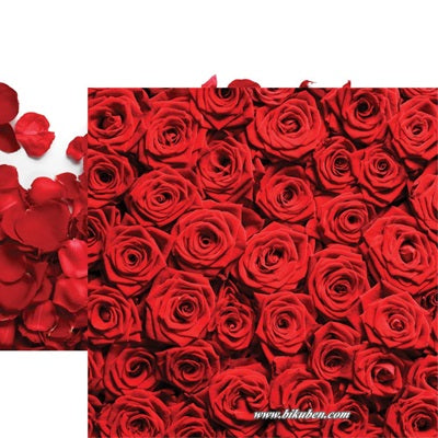Reminisce - Mad with Love - Red Roses 12 x 12"