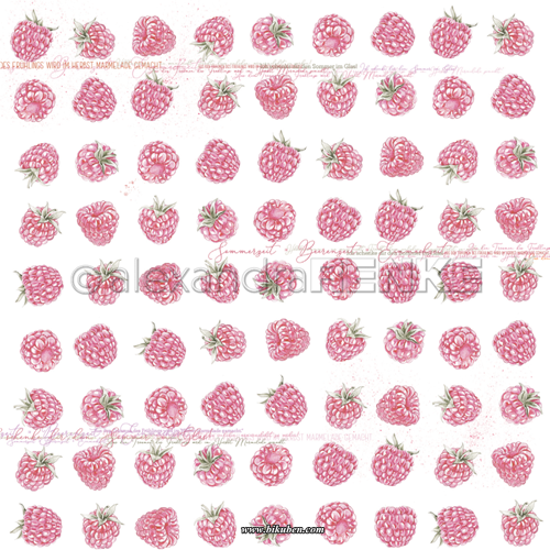 Alexandra Renke - Raspberries 12x12"