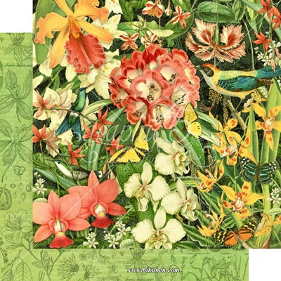 Grapich 45- Lost in Paradise - Plumage 12 x 12"