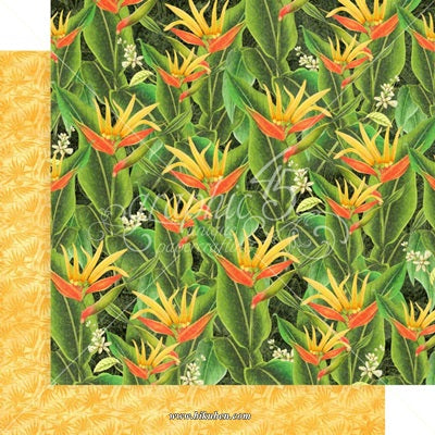 Grapich 45- Lost in Paradise - Fields    12 x 12"