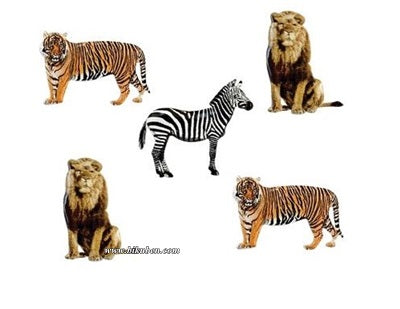 Eyelet Outlet - Brads - Animals