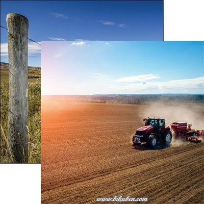 Reminisce - In the field - Field Work 12 x 12"