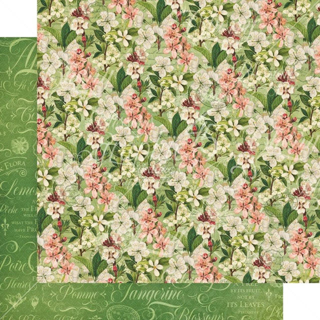 Graphic45 - Fruit and Flora - Fragrant Blossoms   12 x 12"