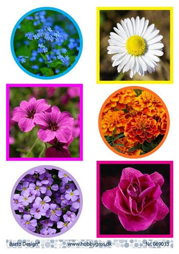 Barto Design - Utklippsark -  Spring
