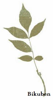 Fresh "Outdoors": Leaves Transparency