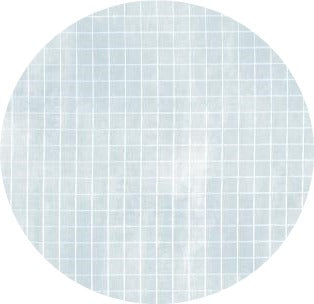 Alexandra Renke - Checkered on Blue - 12 x 12"