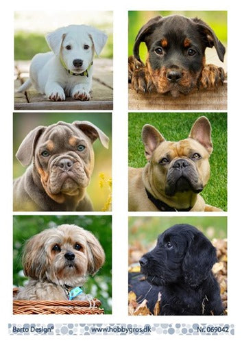 Barto Design - Utklippsark - Cute Dogs 2 