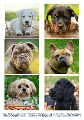 Barto Design - Utklippsark - Cute Dogs 2