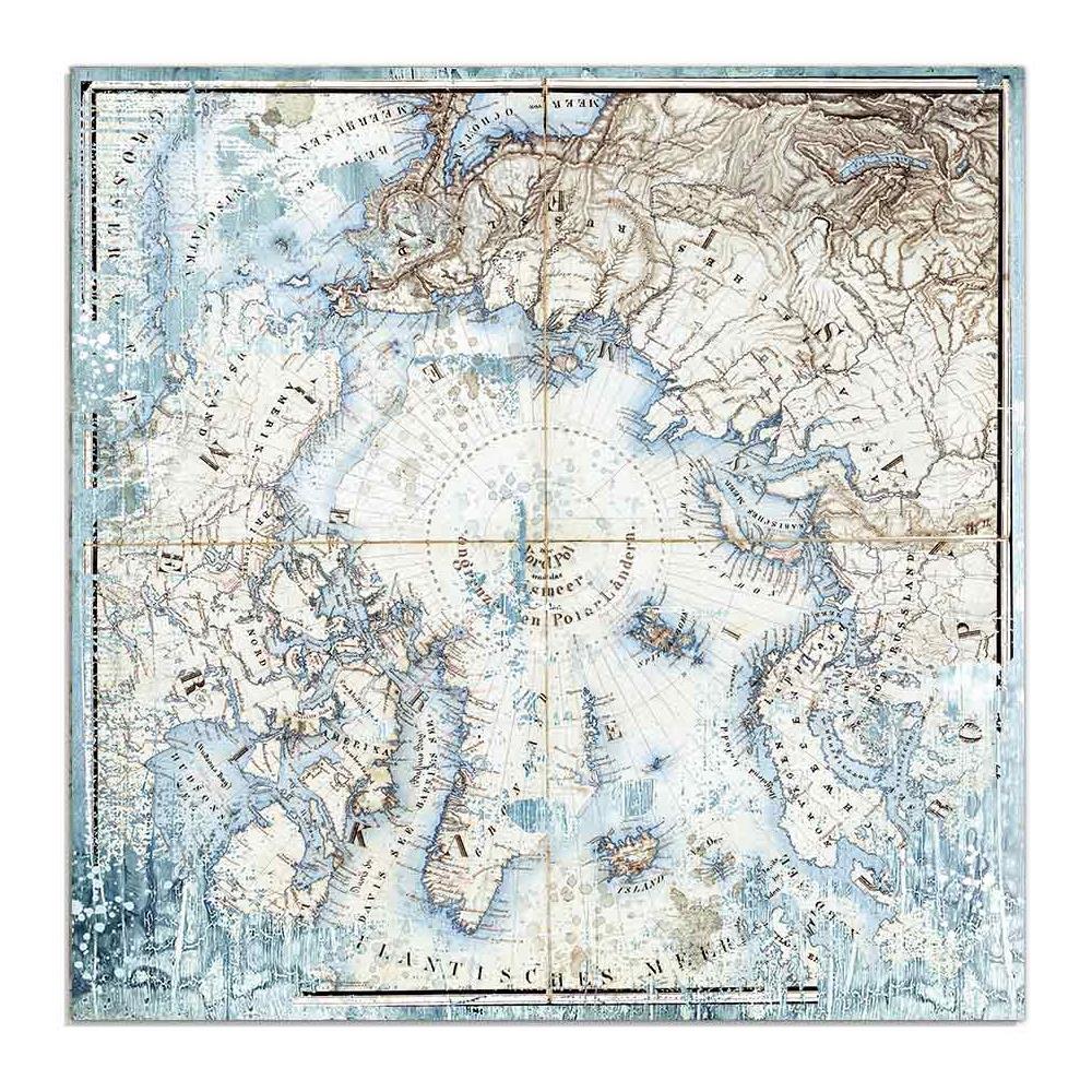 Stamperia - Arctic Antarctic - Arctic  - 12 x 12"