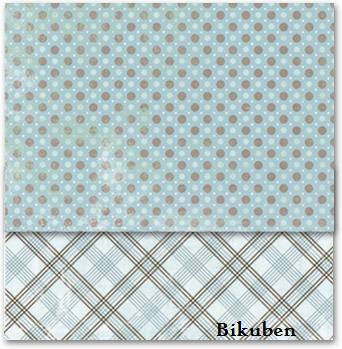 WA: "Birthday Boy" Envelope Wild Card