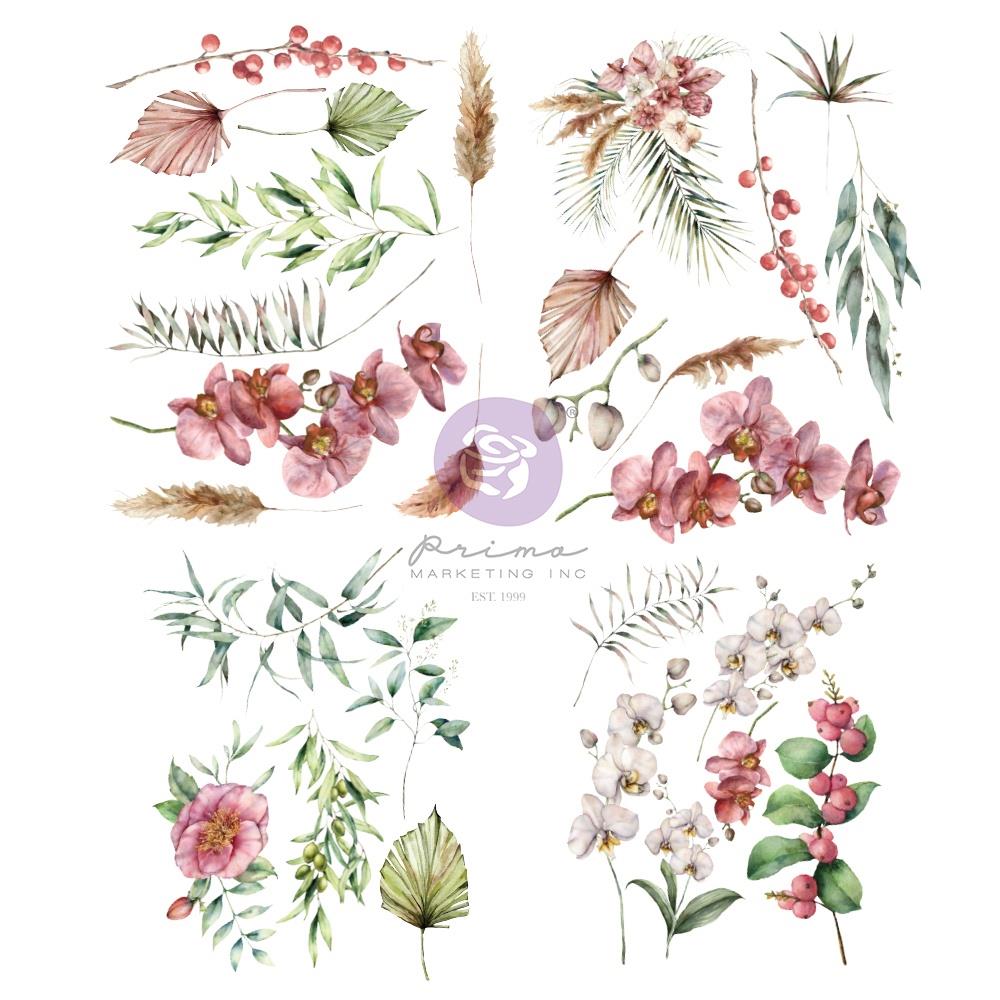 Prima - Sharon Ziv - Rub Ons Transfers - Orchidea