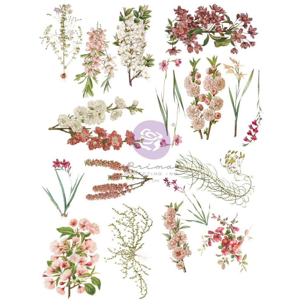 Prima - Sharon Ziv - Rub Ons Transfers - Bloom