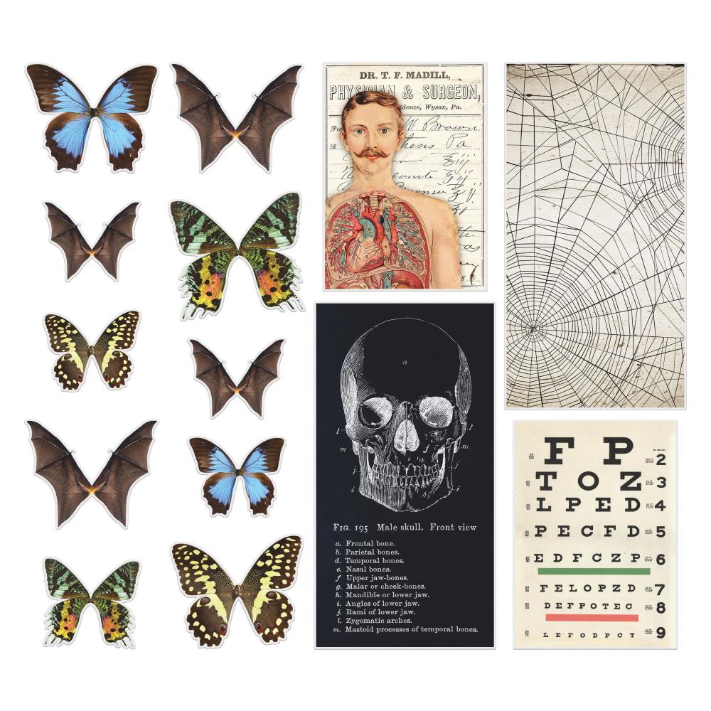 Tim Holtz - Idea-ology Halloween 2021 - Transparencies
