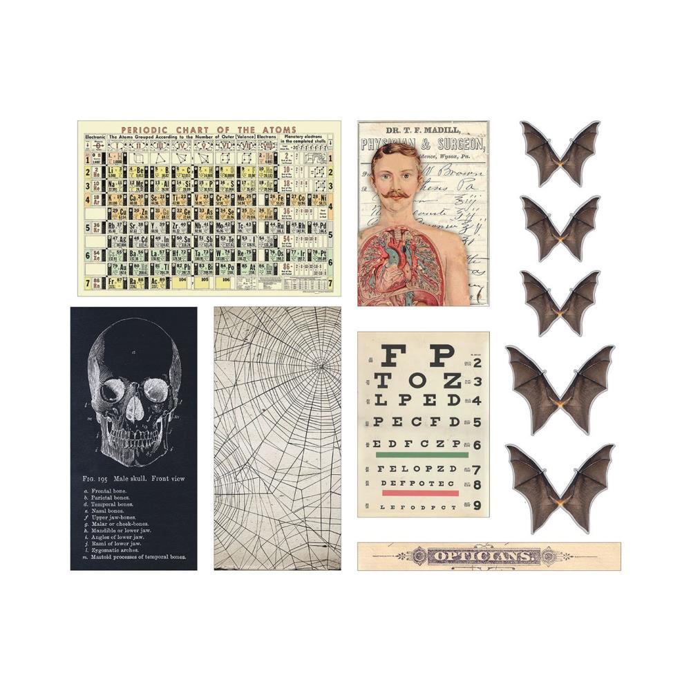 Tim Holtz - Idea-ology Halloween 2022 - Transparencies