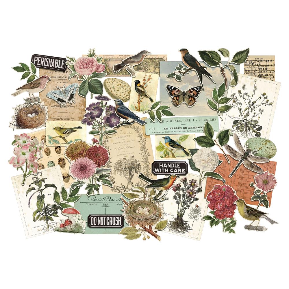 Tim Holtz - Idea-Ology - Vår 2023 - Layers - Organic