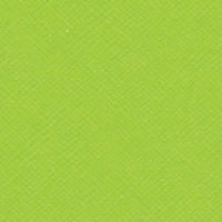 Bazzill Criss Cross 12 x 12  Limeade grønn kartong