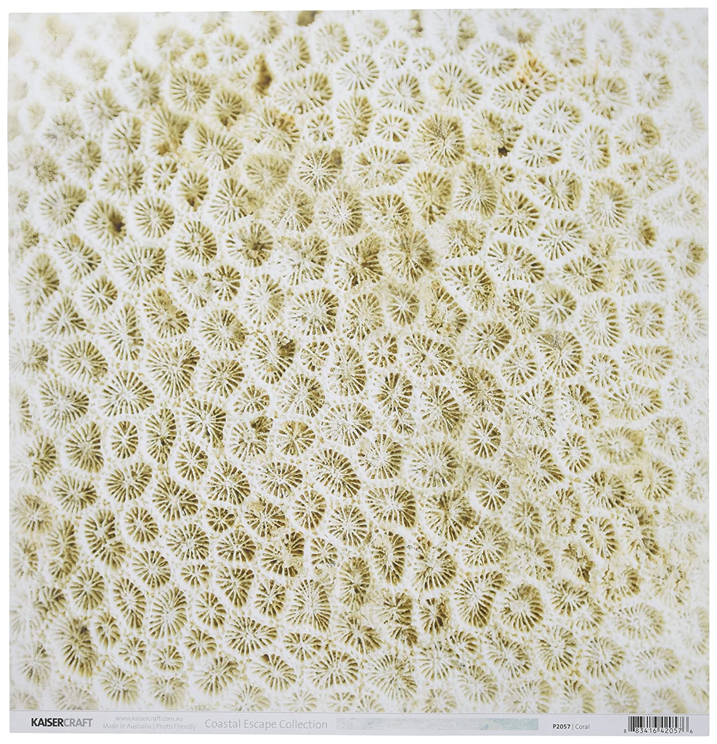 KaiserCraft - Coastal Escape - Coral  12x12"