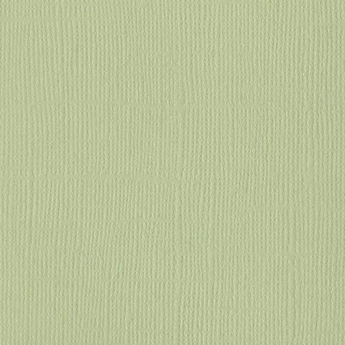 Bazzill Canvas 12 x 12 Aloe Vera grønn kartong