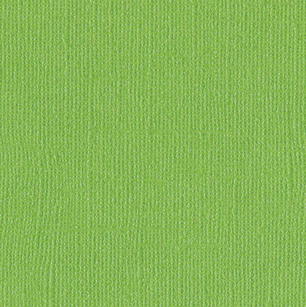 Bazzill - Bling  - Bank Roll   12 x 12