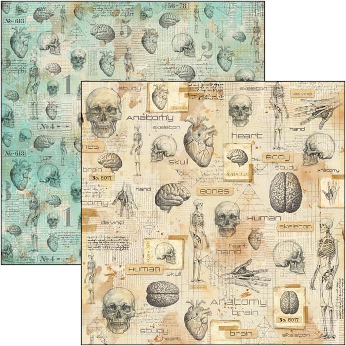 Ciao Bella - Sign of the times - Human Anatomy - Paper - 12 x 12"