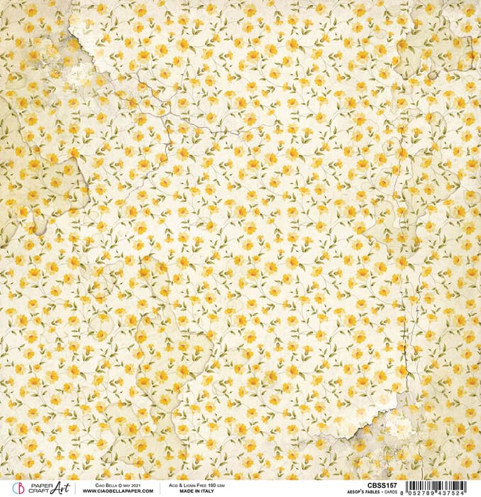 Ciao Bella - Aesop's Fables - Cards Paper - 12 x 12"