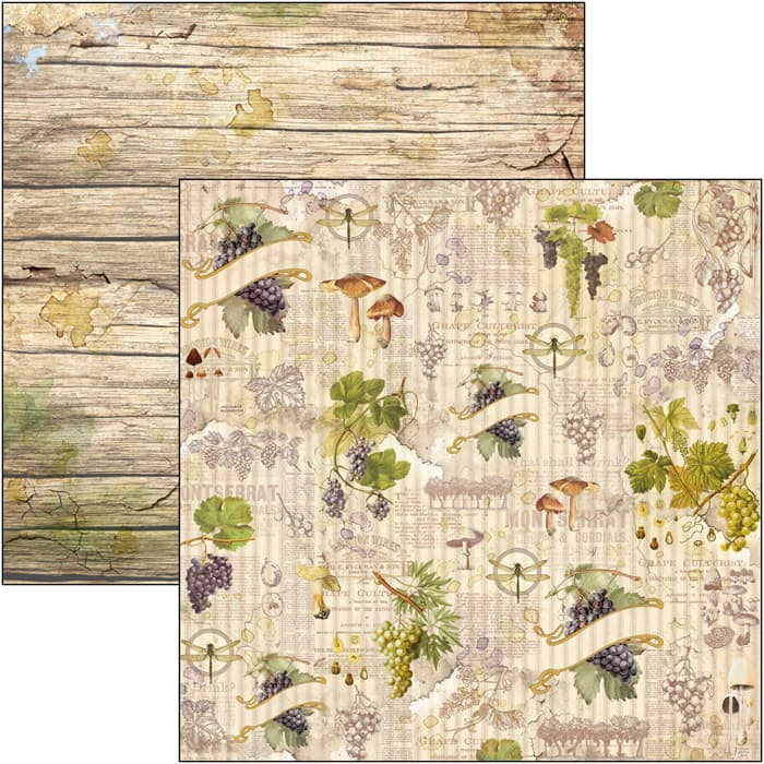 Ciao Bella - Aesop's Fables - Grape and Mushrooms - Paper - 12 x 12"