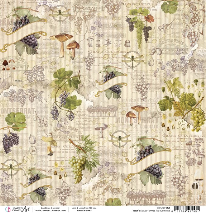 Ciao Bella - Aesop's Fables - Grape and Mushrooms - Paper - 12 x 12"