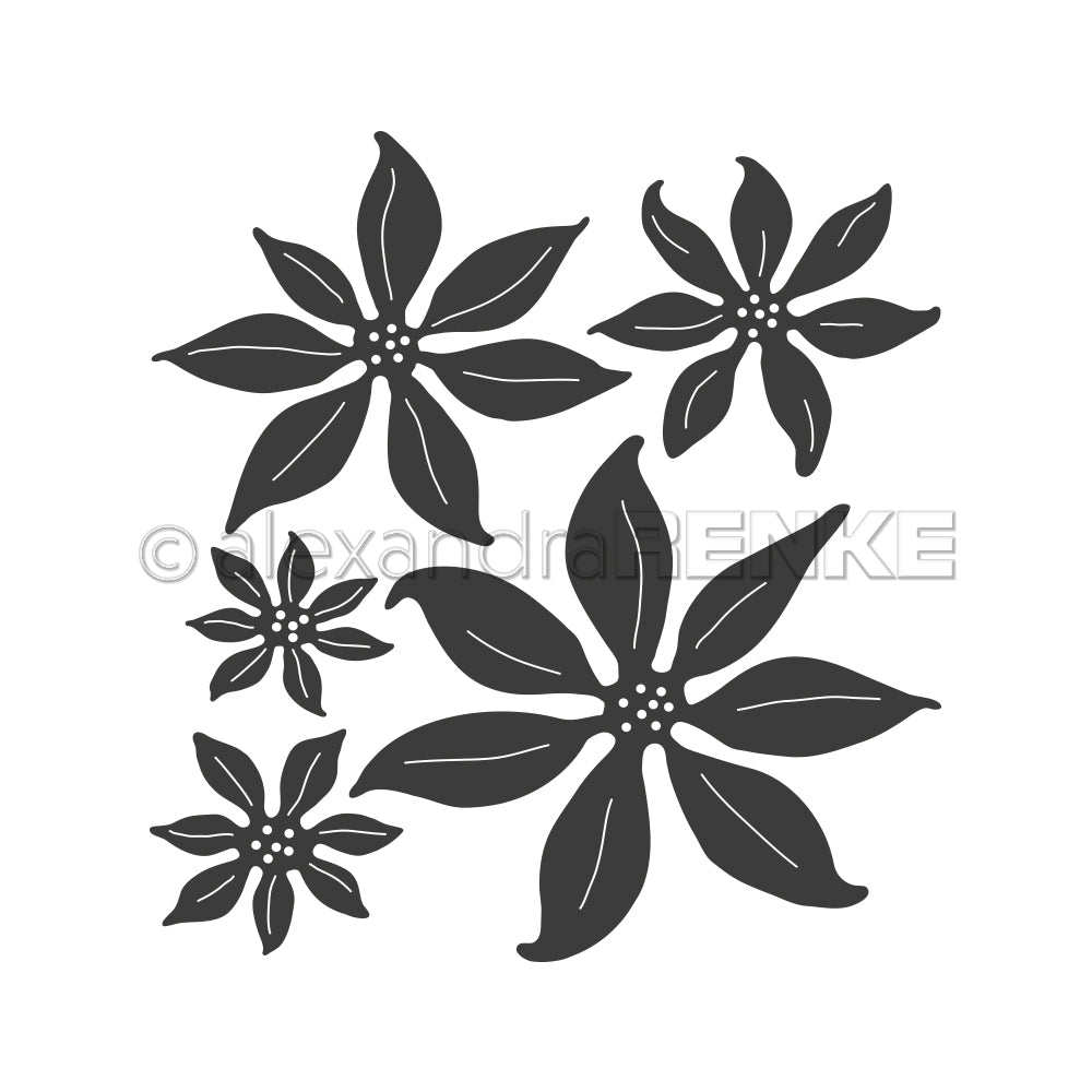 Alexandra Renke - Dies - Poinsettias