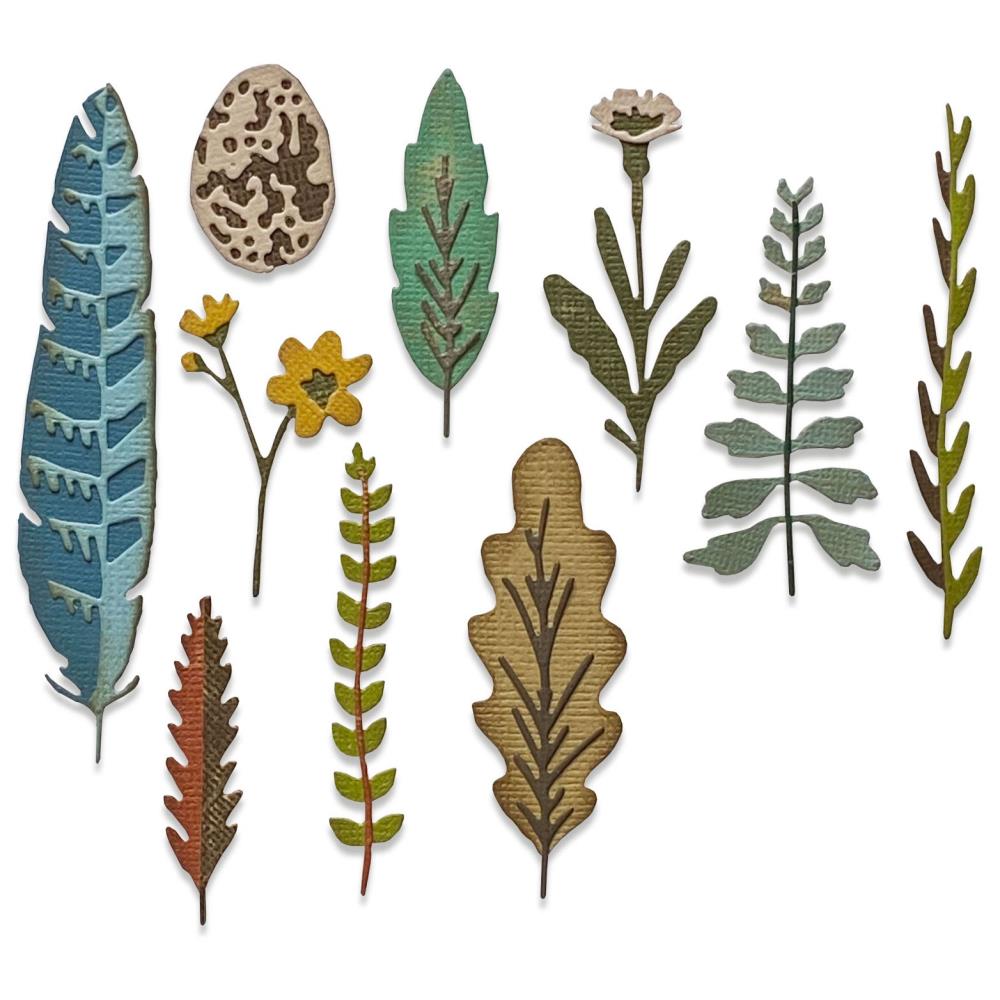 Sizzix - Tim Holtz Alterations - Thinlits - Funky Nature