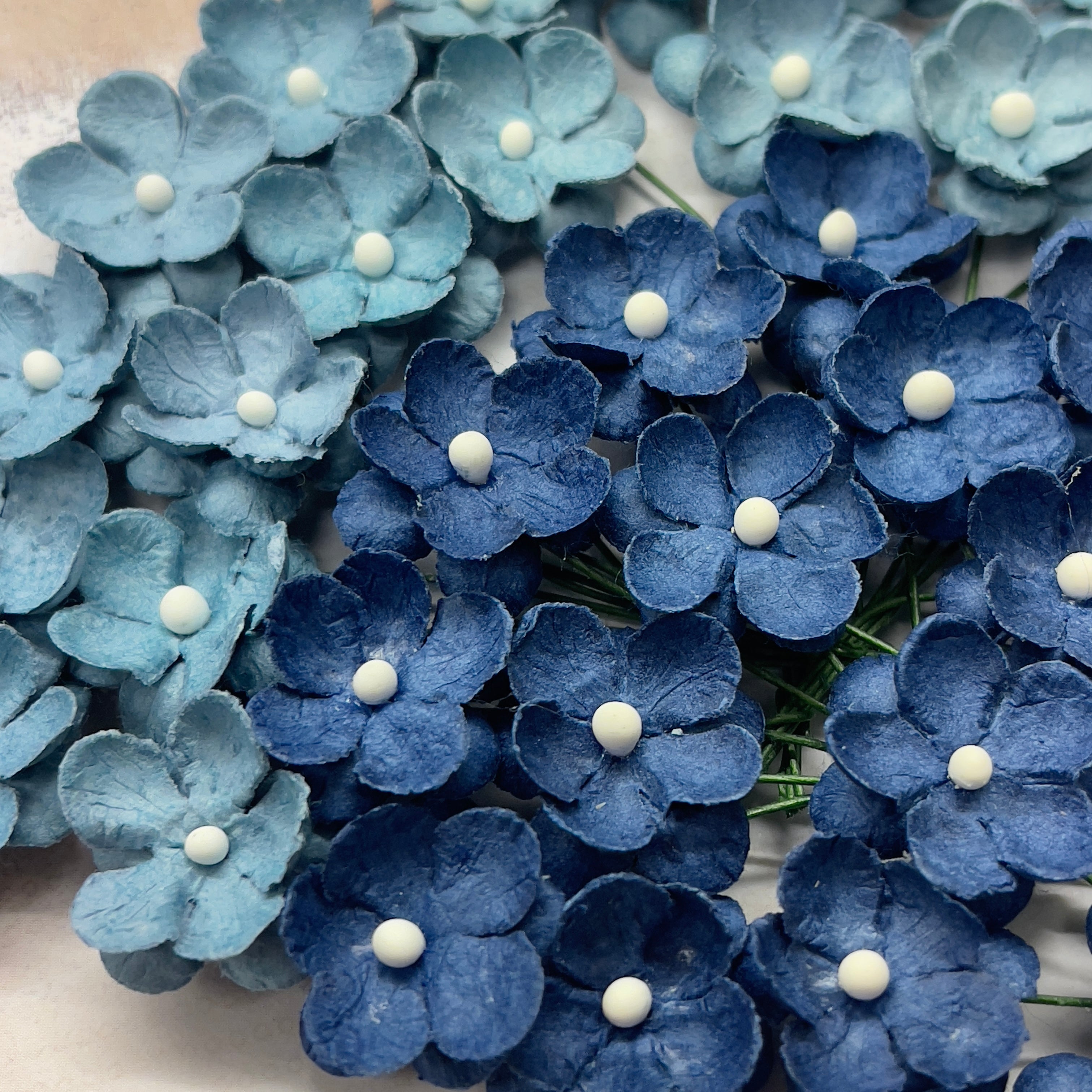 Papirdesign - Søte Blomster - Blå