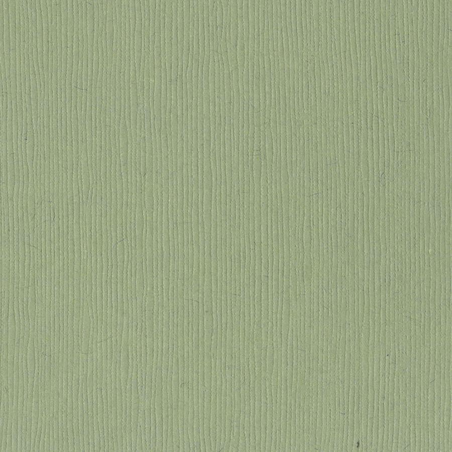 Bazzill Grass Cloth 12 x 12 Lily Pond grønn kartong