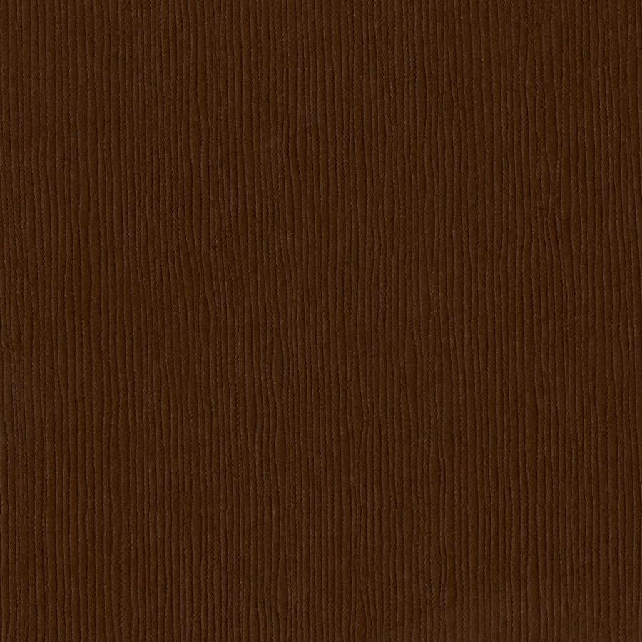 Bazzill Grass Cloth 12 x 12 Mocha Divine brun kartong