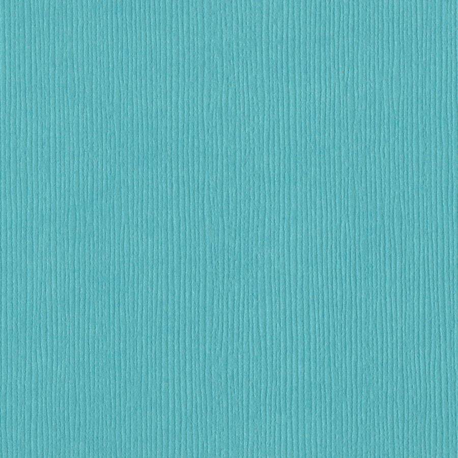 Bazzill Grass Cloth 12 x 12 Navajo grønn kartong